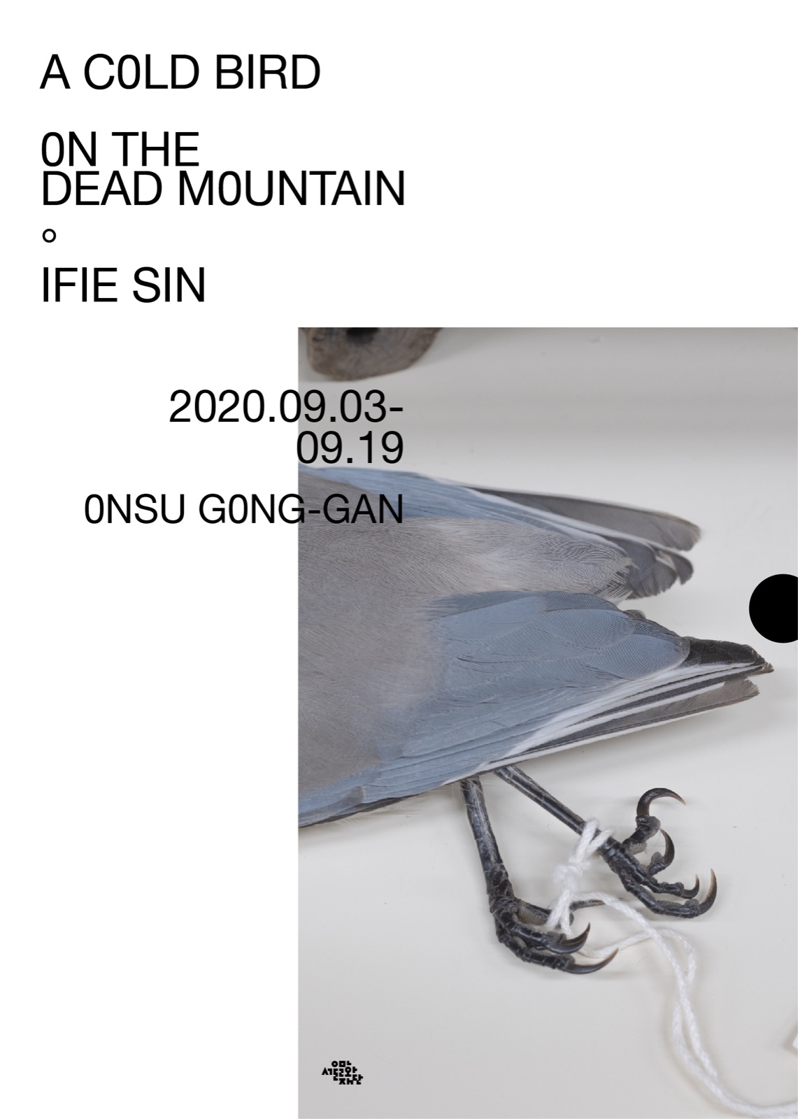 A Cold bird on the dead mountain 설치 전경