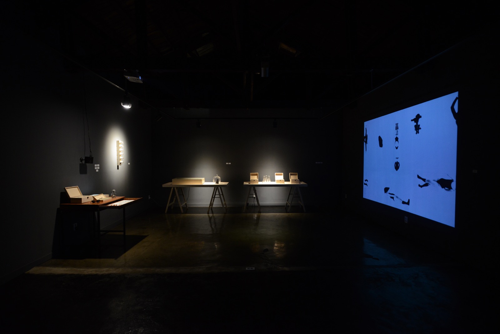 Laboratory Observation; corps paysage 설치 전경