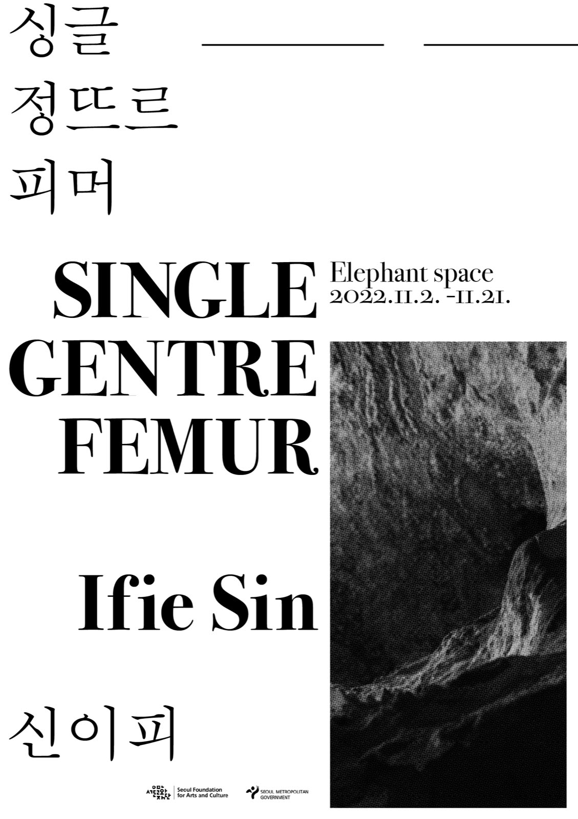 Single Gentre Femur 설치 전경