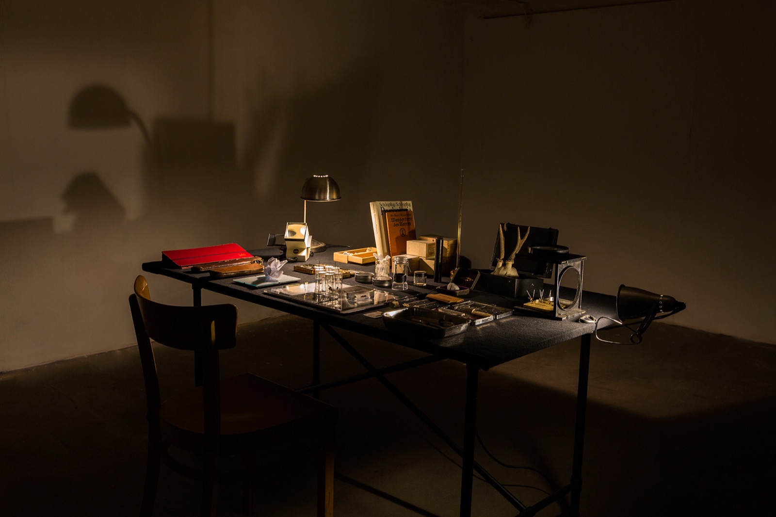 Cabinet of curiosities